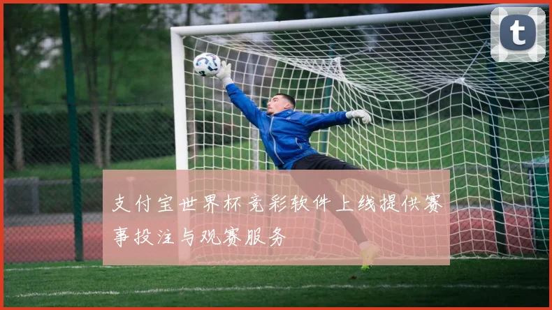支付宝世界杯竞彩软件上线提供赛事投注与观赛服务