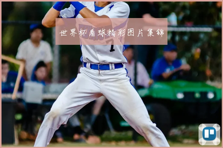 世界杯看球精彩图片集锦