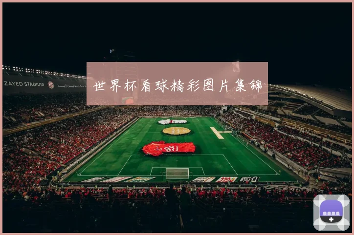 世界杯看球精彩图片集锦